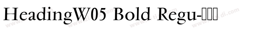 HeadingW05 Bold Regu字体转换